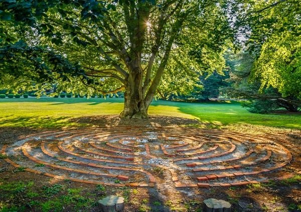 Spiritualität - Wie Bäume werden sie sein
